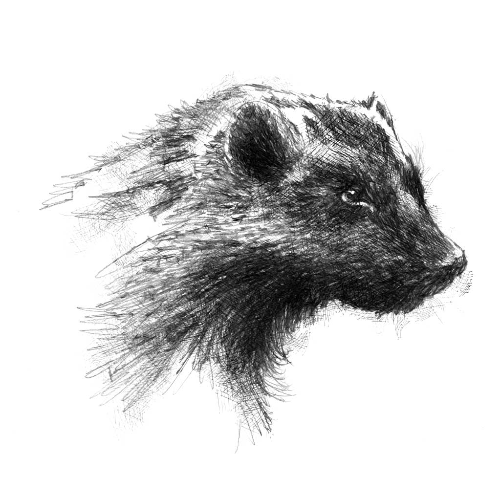 Wolverine