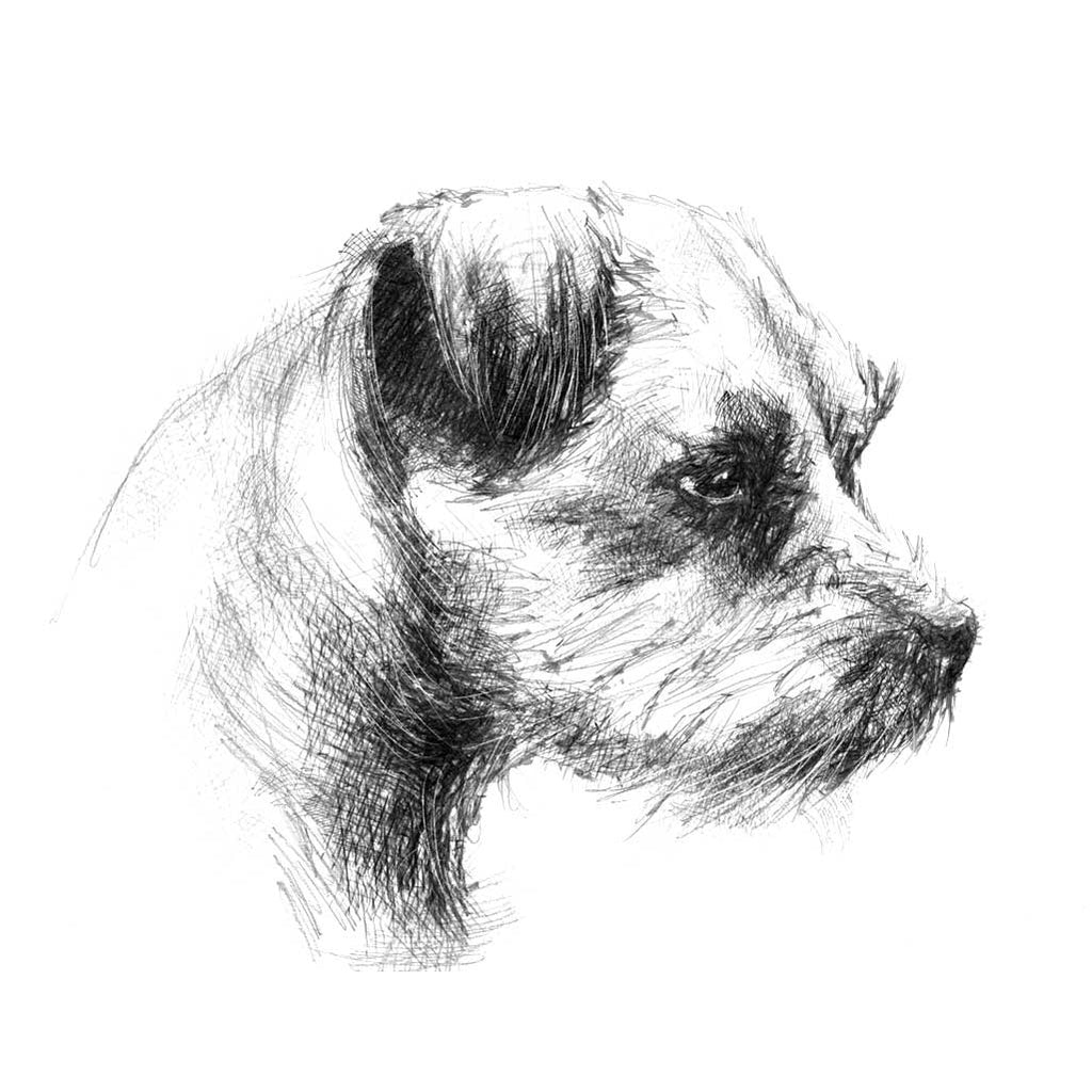 Terrier