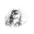 Eider duck