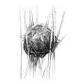 Harvest mouse nest
