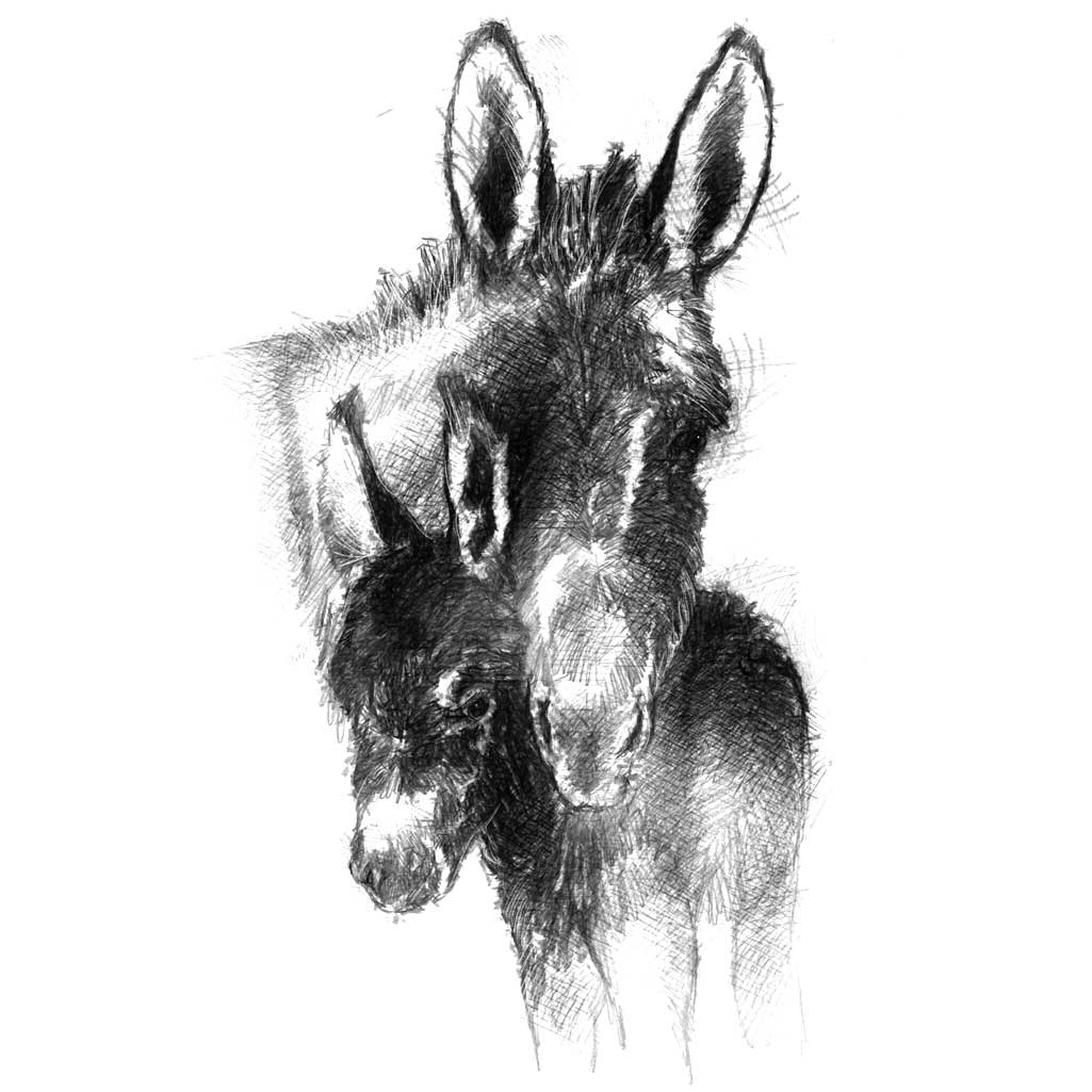 Donkey