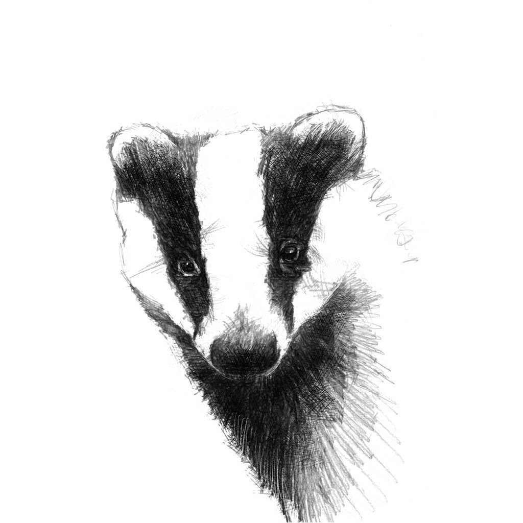Badger