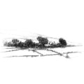 Yorkshire walls