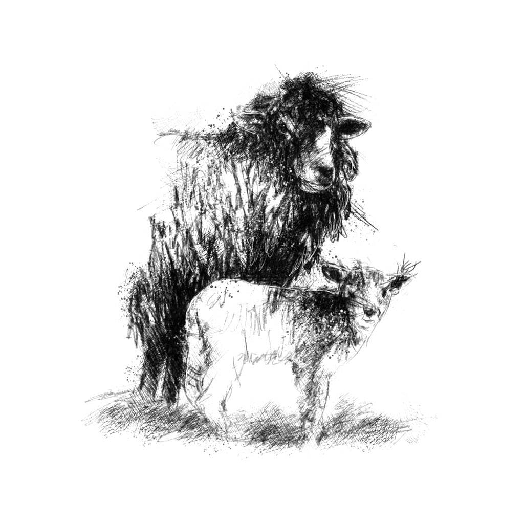 Ewe and lamb