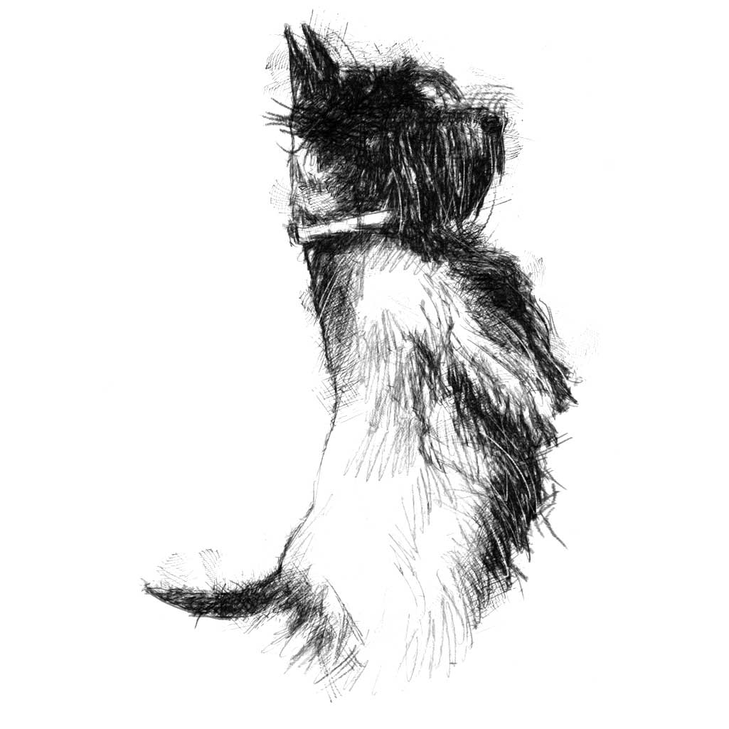 Scottie dog