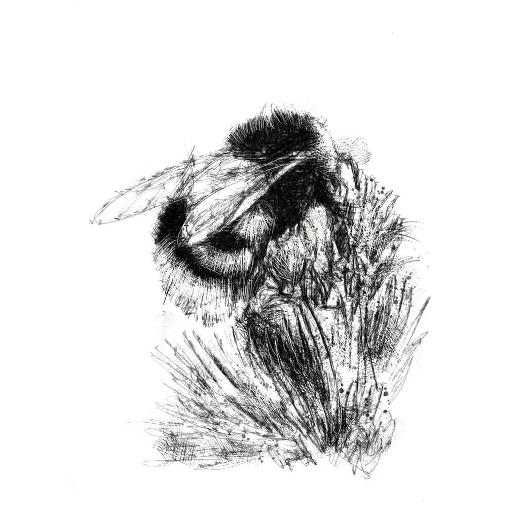 Bumble bee