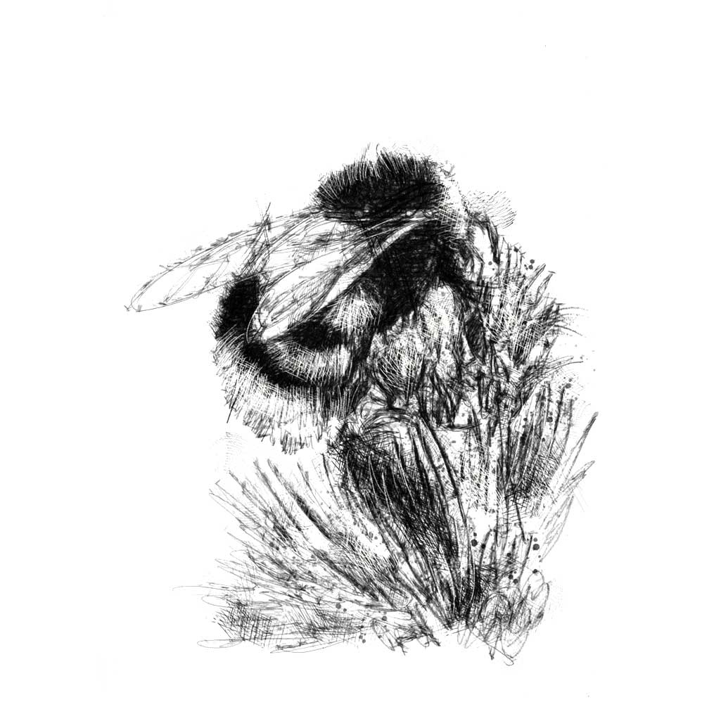 Bumble bee