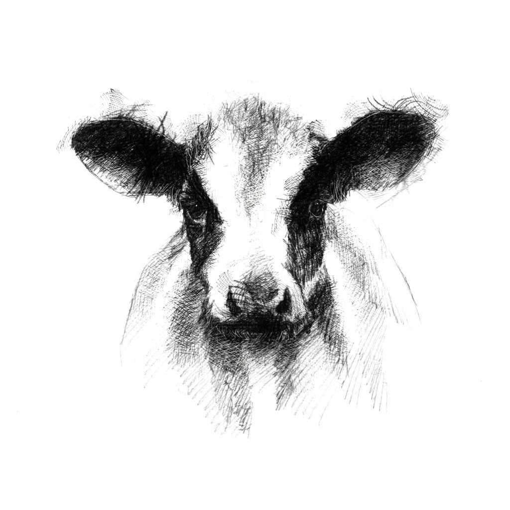 Calf
