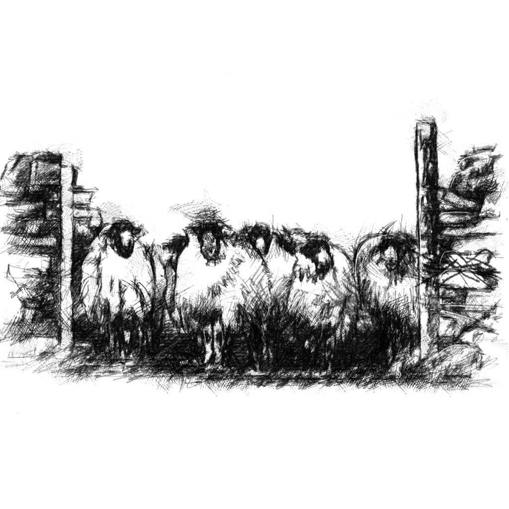 Flock