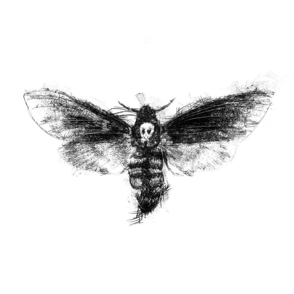 Deaths head moth