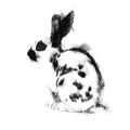 English rabbit