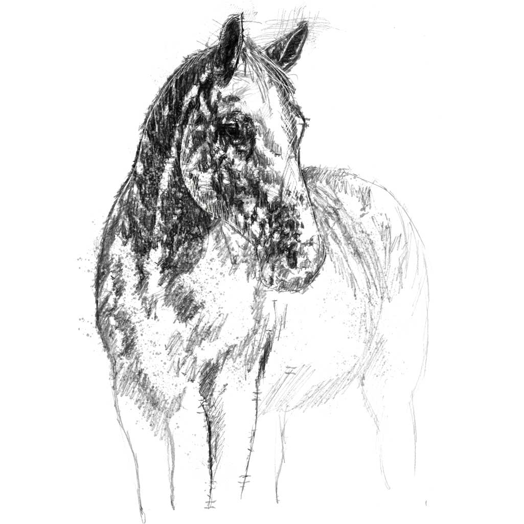 Speckled mare