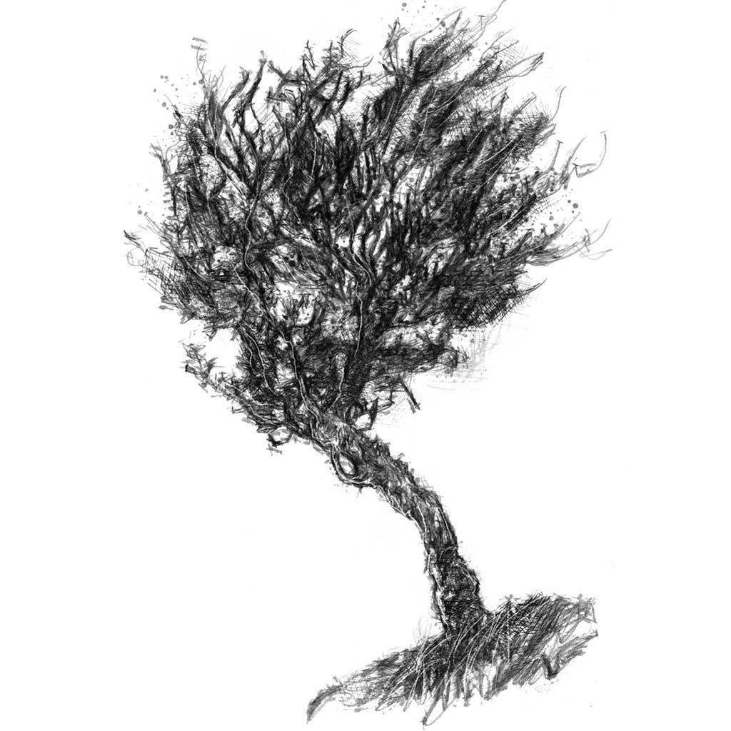 Hardy tree