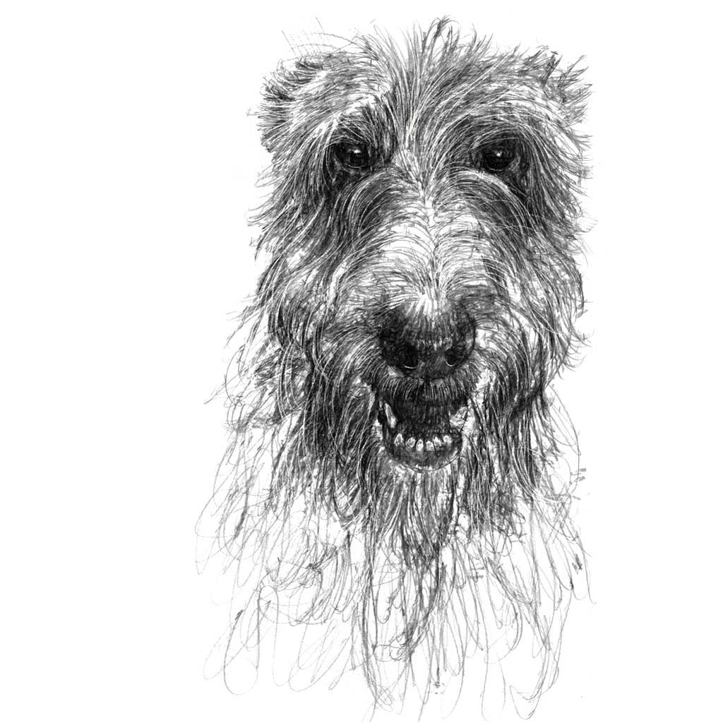 Wolf hound