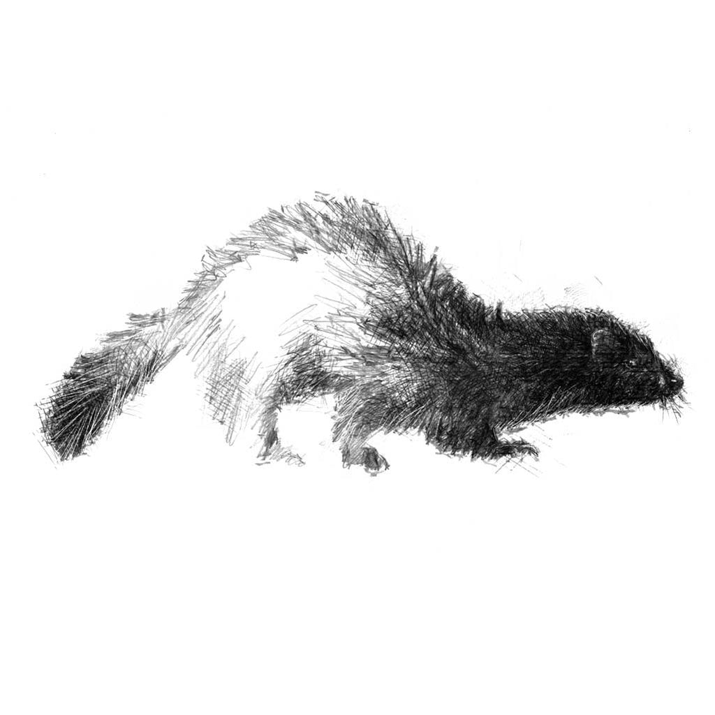Mink hunting