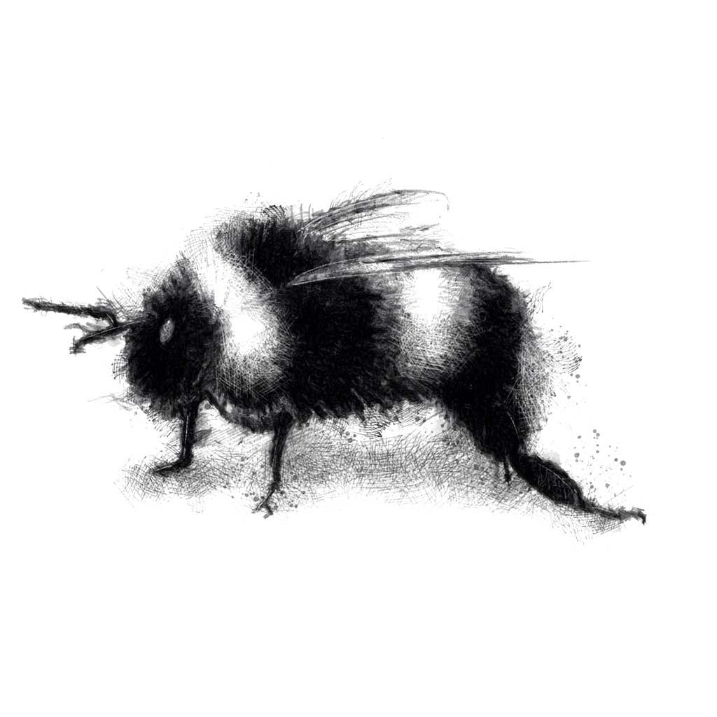 Bumble bee