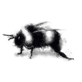 Bumble bee