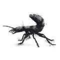 Devil's coach horse beetle