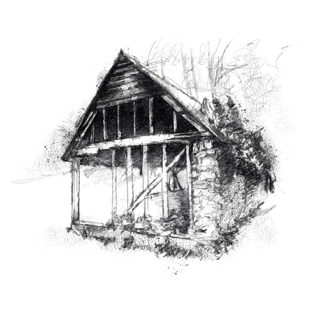 Woodland barn ruin