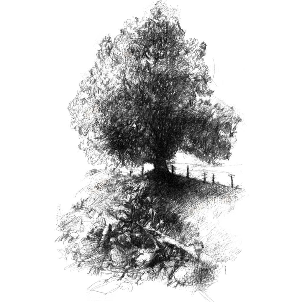 Slate quary tree