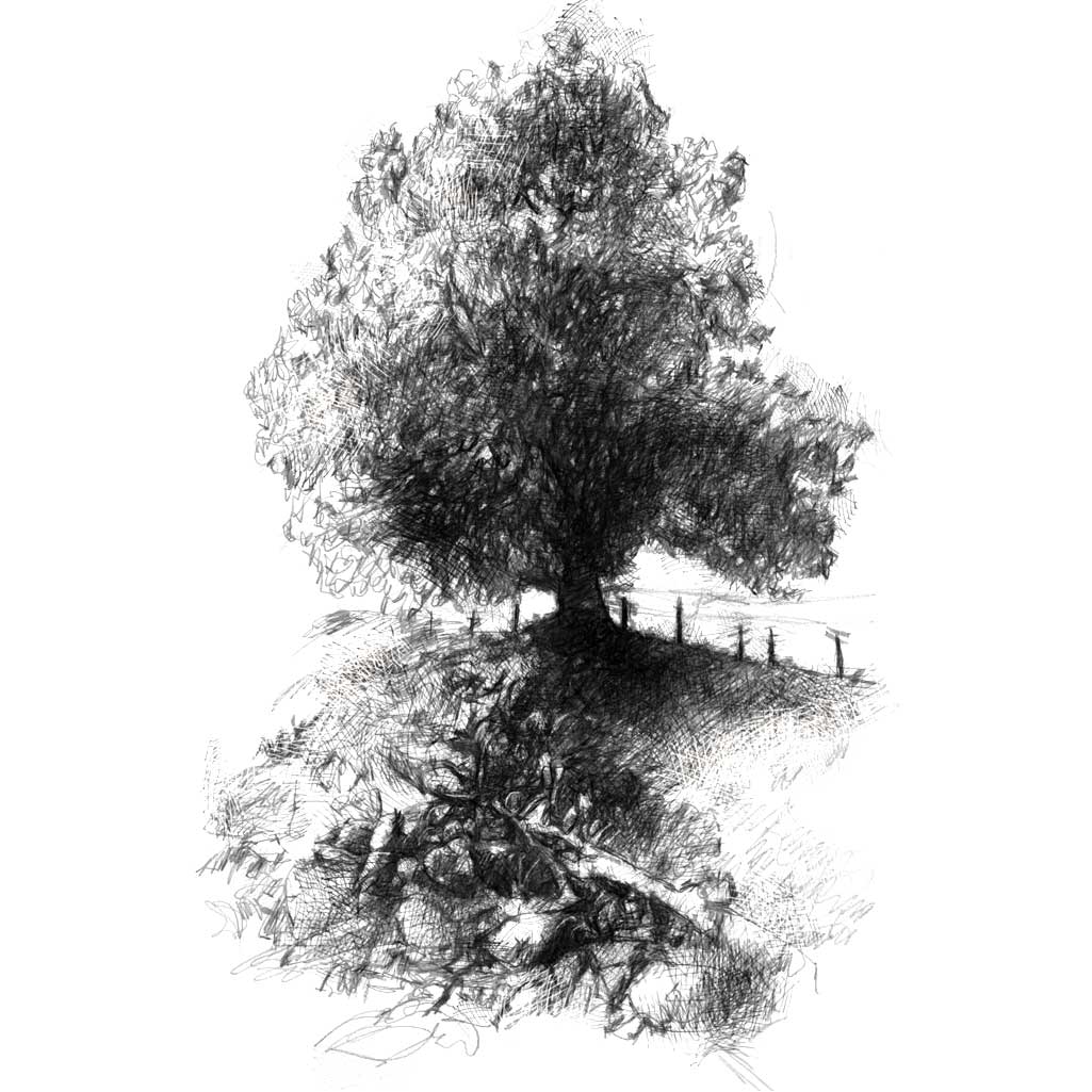Slate quary tree