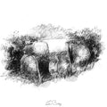 Kerridge hill stile