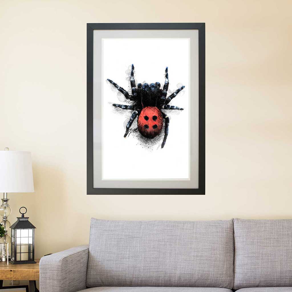 Ladybird Spider colour