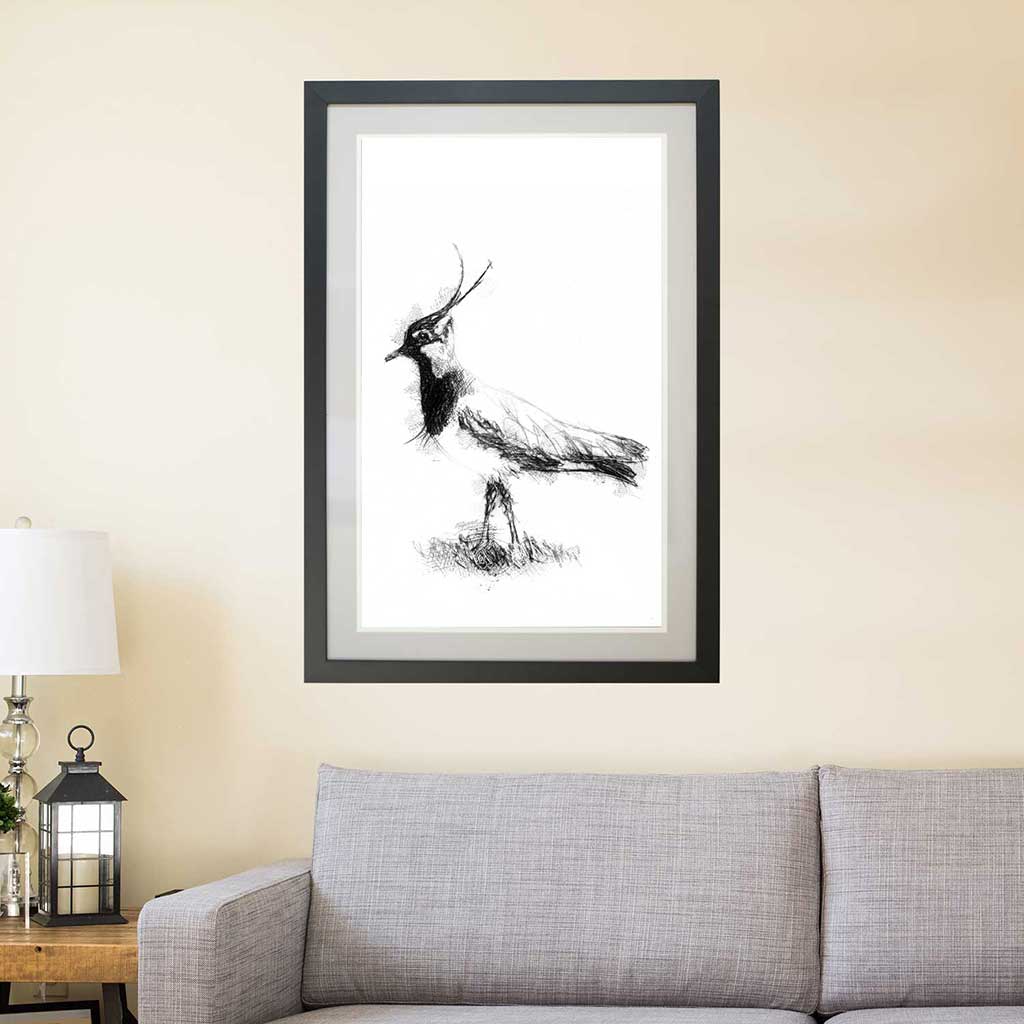 Lapwing