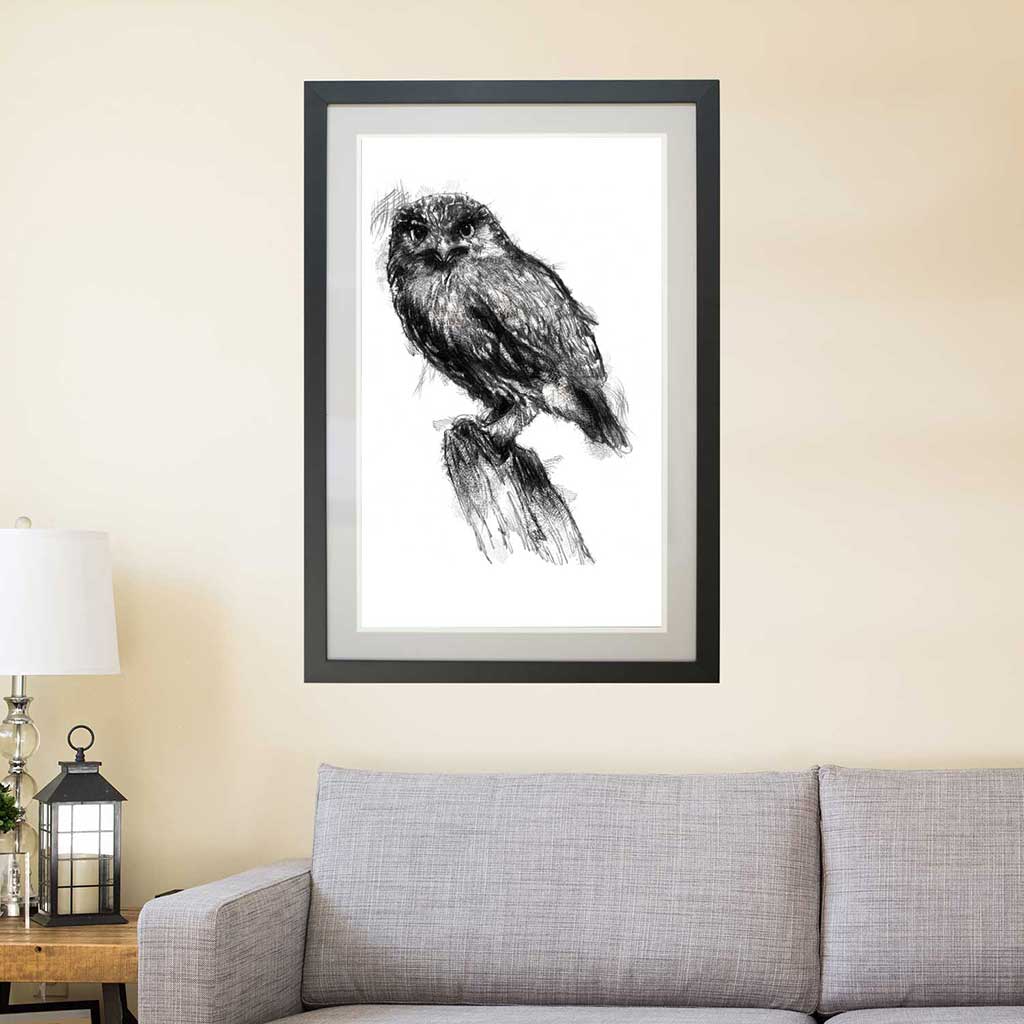 Little owl