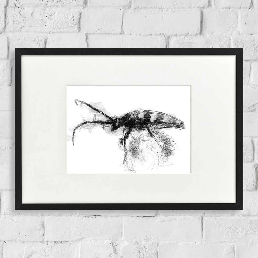Longhorn beetle
