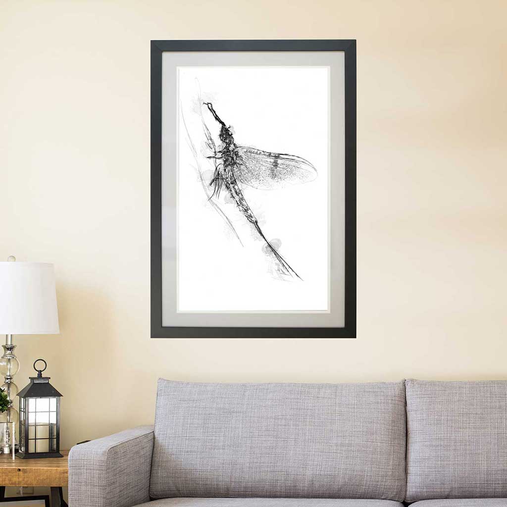 Mayfly