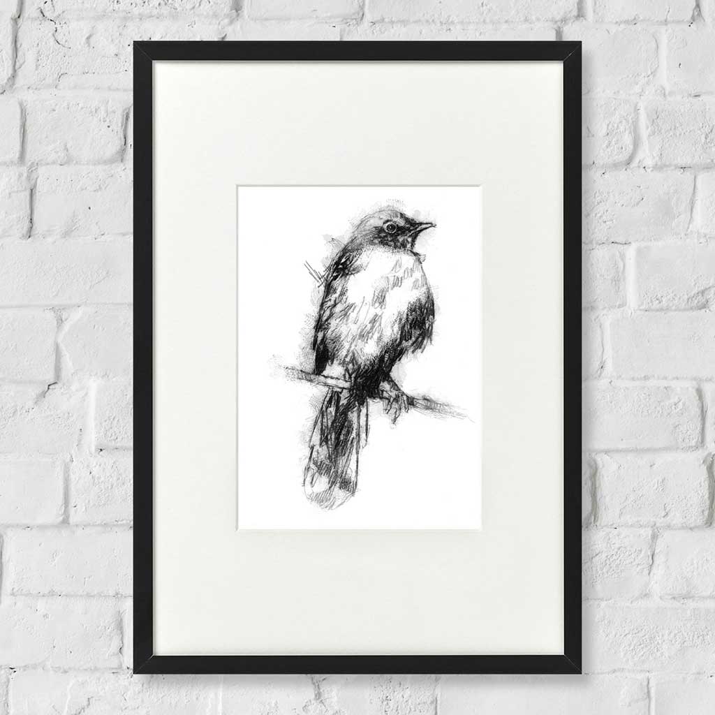 Nightingale bird
