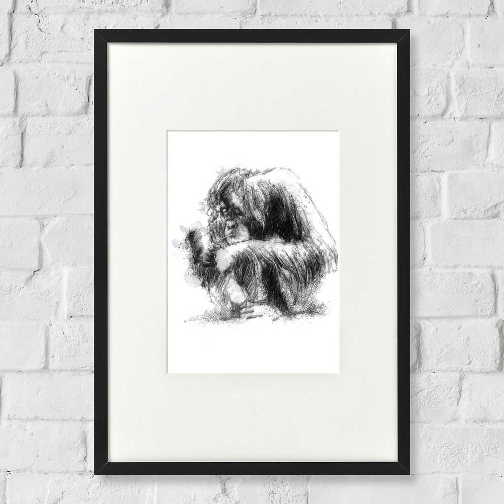 Orangutan
