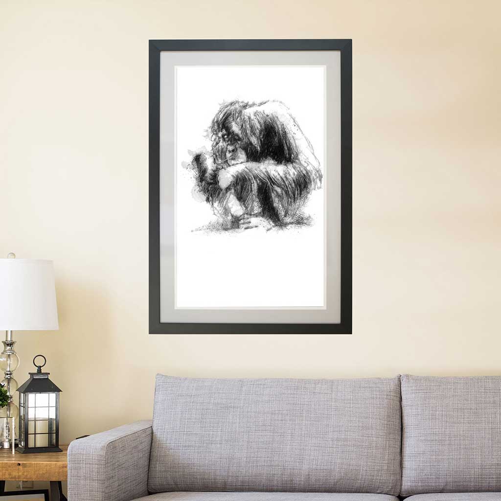 Orangutan