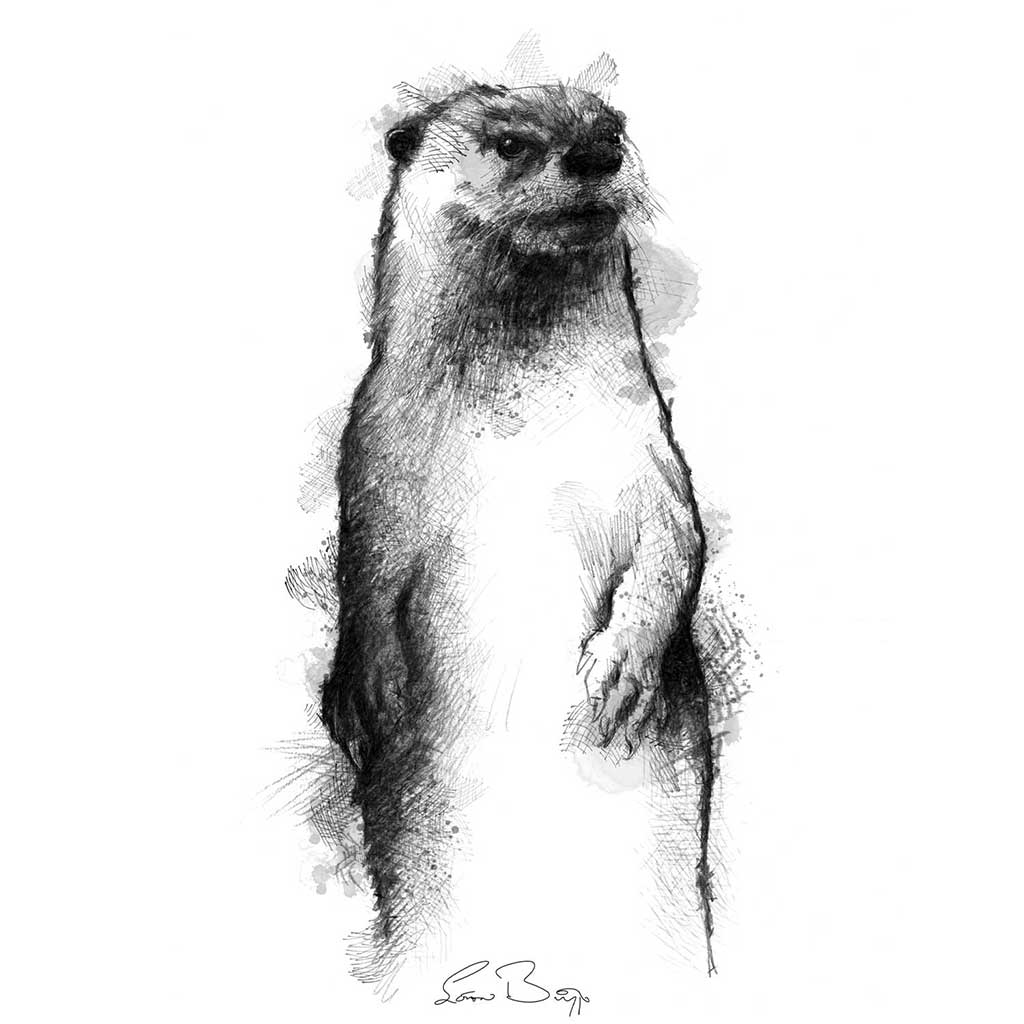 British otter