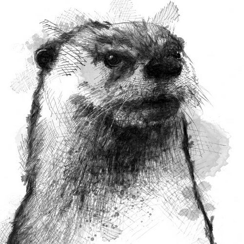 British otter
