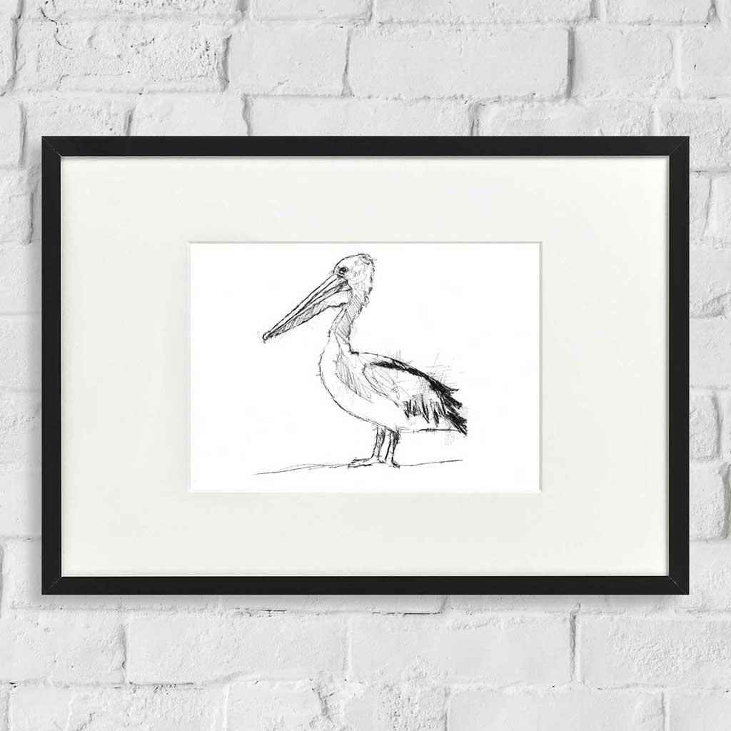 Pelican
