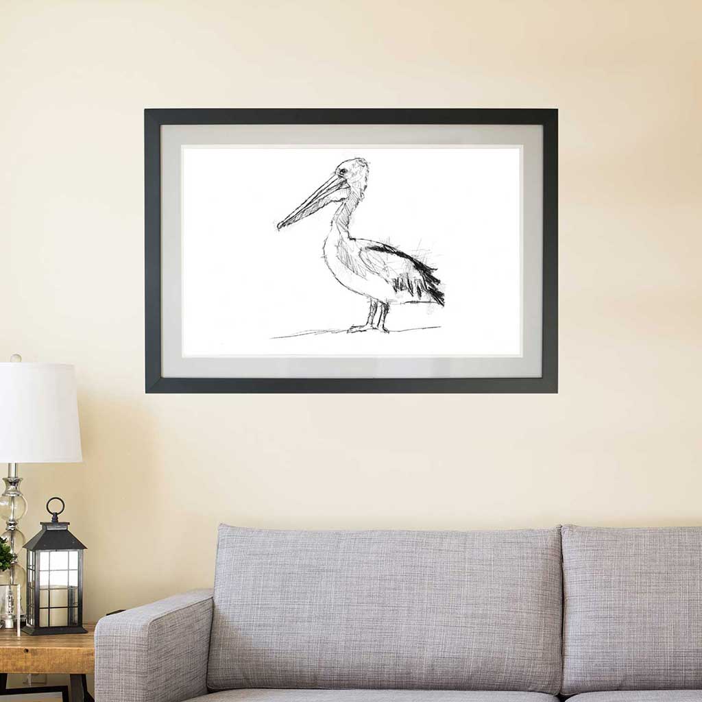 Pelican