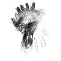 Cockerel head