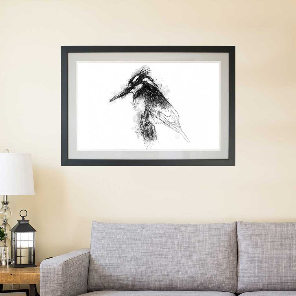 Pied kingfisher