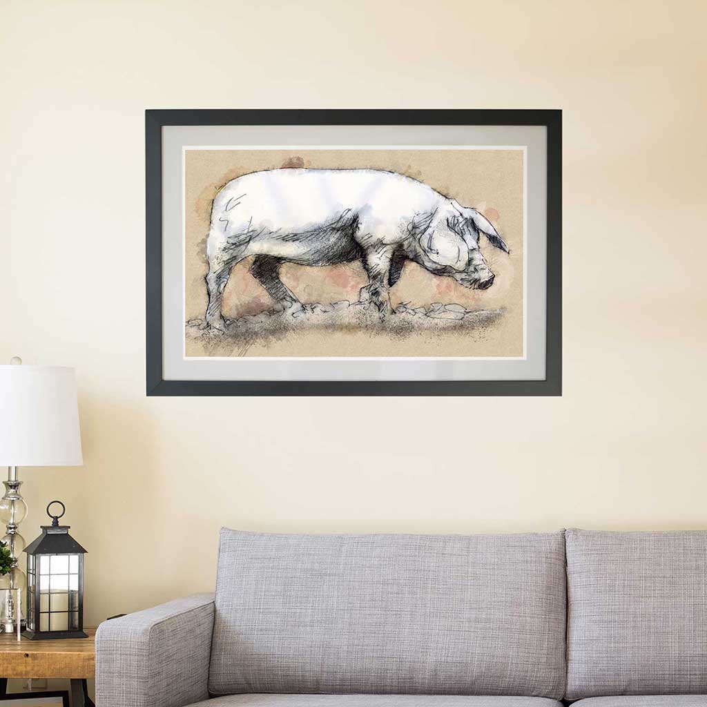 Large sow