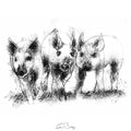 Piglet trio