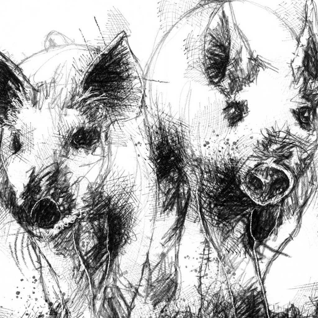 Piglet trio