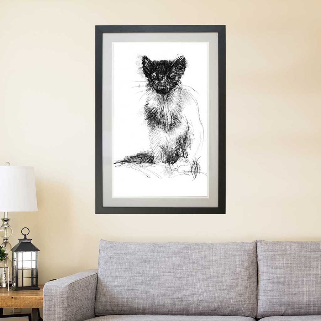 Pine marten