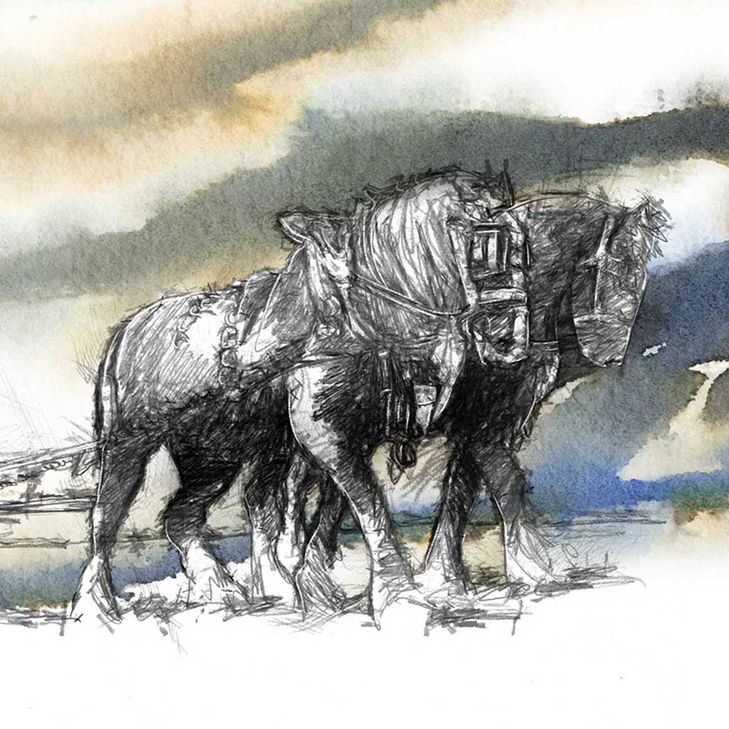 Ploughing skyline