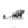 Ploughing on