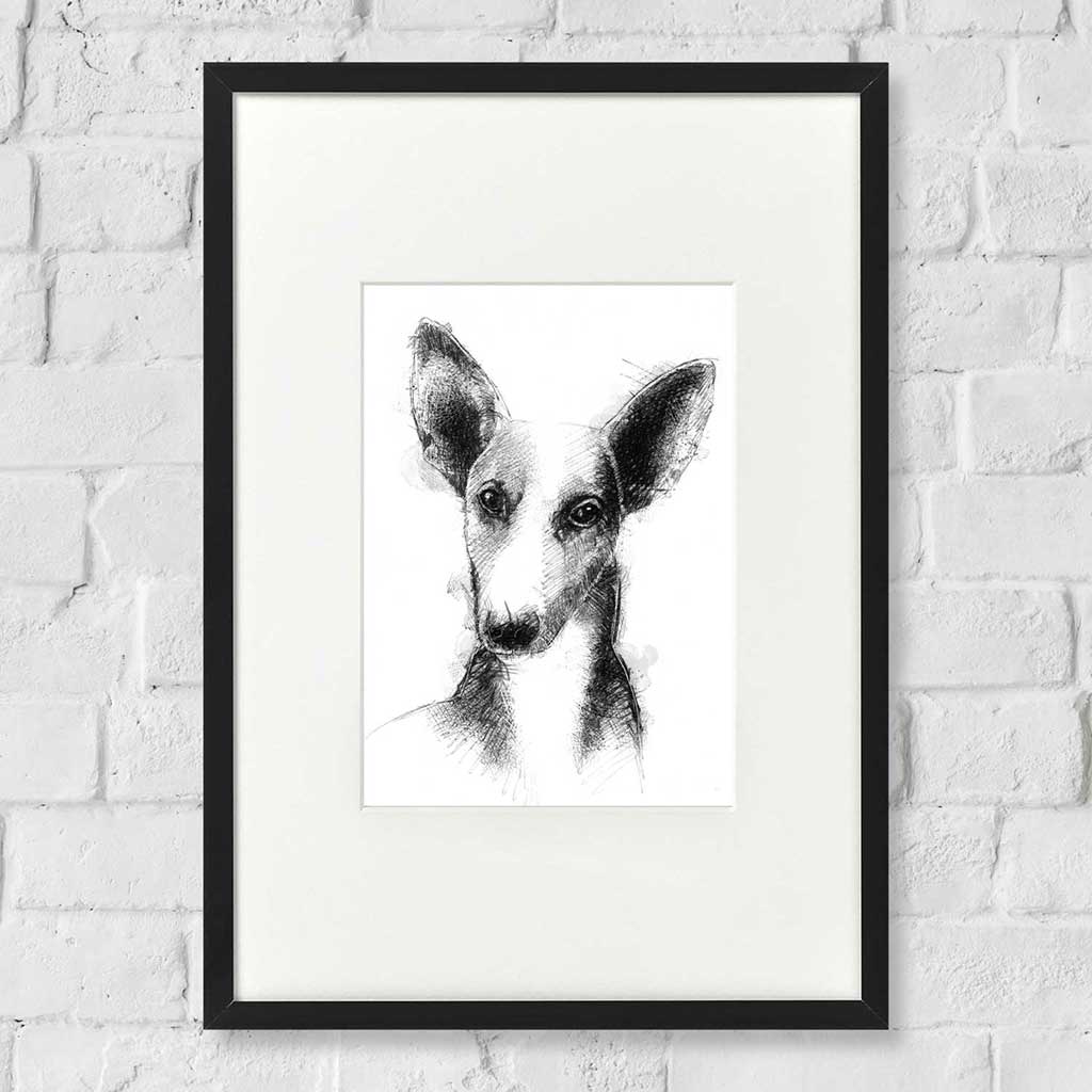Podenco