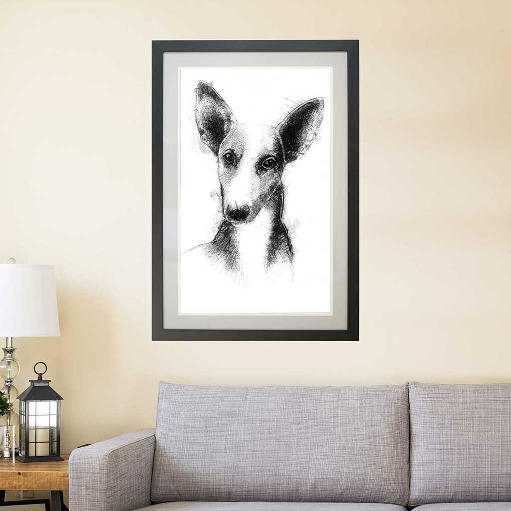 Podenco