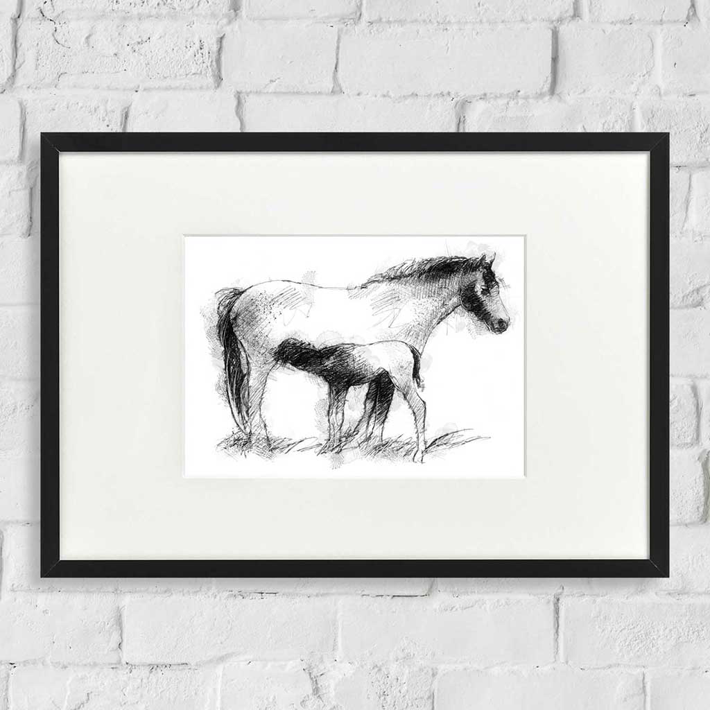 Connemara pony and foal