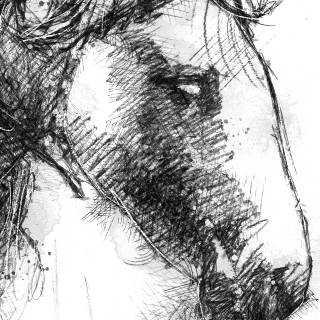 Connemara pony